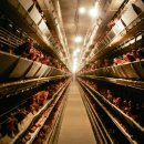 체담한방병원 이미지