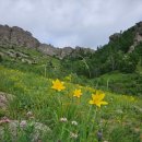 거북숙박 이미지