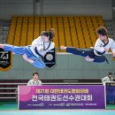 대한태권도 이미지