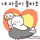 고양이묭실 네이버블로그