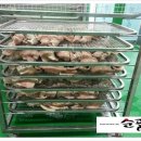건호푸드