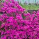 태림사우나 이미지