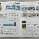 청소토피아