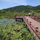 연꽃마을건넌들 이미지