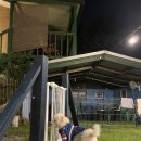 양평 랏지하우스 애견동반펜션 이미지