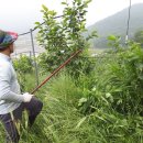 황영농장 이미지