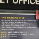 충주 관광지 활옥 동굴 탐험과 투명 카약 체험 솔직 후기