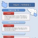 거일리 Daum카페