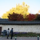 돌담길 이미지
