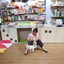 스타일 독-진교애견샵 이미지