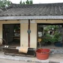 사랑채 민박 이미지