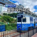 해변의 꿈 | 부산 해운대 블루라인파크 해변열차 스카이캡슐 코스 파헤치기!