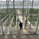 비에스팜 이미지