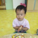 큰나무미래어린이집 이미지