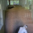 수서동 기와요지 이미지