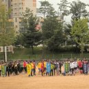 공도 대림동산 축구장 이미지