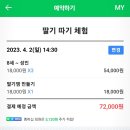 팔당유기농딸기