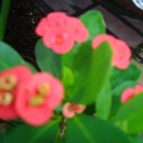 건축이야기 1 이미지