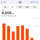 한방의과학연구소 | [난임일기 1] 강남차 난임센터 시험관1차 시작전 임신도전기록(배테기,배란초음파,난임검사,나팔관...