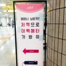 한화 인턴이 끝난 후에 : 대전야구장 현대L&C 홈클라우드존에서 직관하고, 그라운드에 들어가본 성공한...