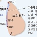 성모기획 이미지