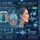 성대열쇠 | 안정적인 발성교정의 열쇠: 호흡의 정지와 진공 발성 원리 이해하기