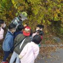 덕천초등학교병설 이미지