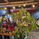 또봉이통닭(영등점) 이미지