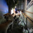 고성수석전시관 이미지