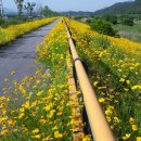 섬진강자전거길5 이미지