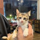 삼천포한옥집 이미지