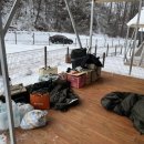 낭만 Dog 이미지