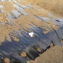 상일농장 이미지