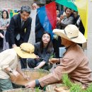 서초구립 도구머리어린이집 이미지