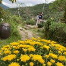 선류산장 이미지