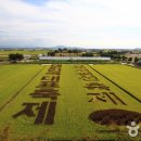 김제, 지평선축제와 가양주 이미지