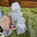 대란과일 | 대란열차 탑승! 노미 포레스트 킹덤 누구보다 빠른 후기 (feat. 똥손을 곁들인..)