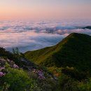 가지산 - 중구 | 가지산