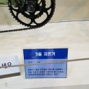 3000천리자전거