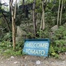 토마토펜션A 이미지