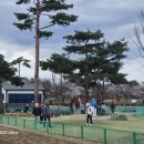 영신숲길3 이미지