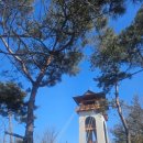 관산시장길 | [봉명산 출렁다리] 경북 한 번쯤 가볼만한 문경 여행코스 추천, 문경전통시장 오일장까지