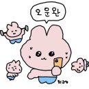 이니즈필라테스