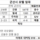 군산시-00033 네이버블로그