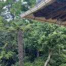 함박골큰기와집 이미지