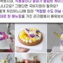 라크렘제과실용전문학원 | [생화케이크 자격증 취득 과정] 라크렘 제과실용전문 학원