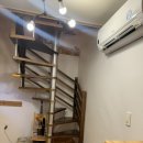 나무앤씨 키즈 이미지