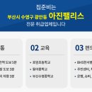 수영로 581번길 이미지