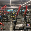 에스투짐 이미지