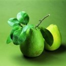 인생먹거리 이미지